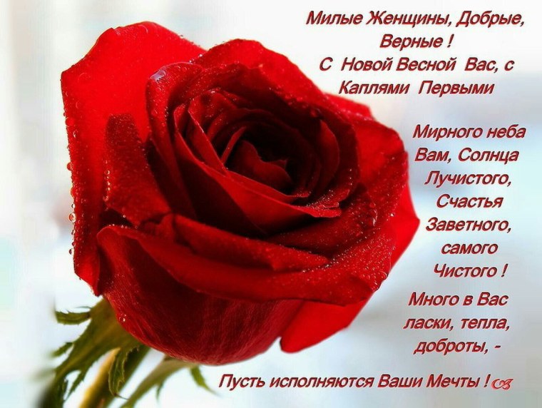 Красивой девушке красивые цветы стихи