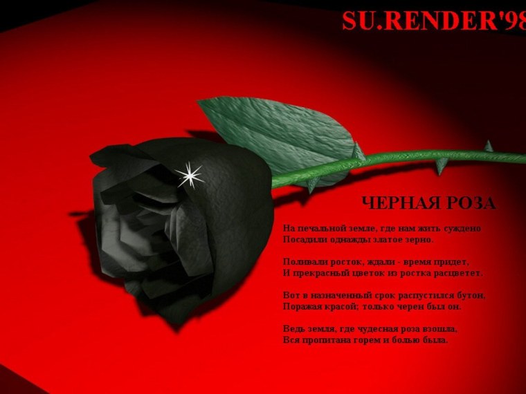 Черная роза стих