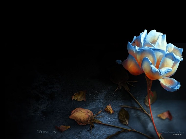 Мне без тебя так трудно жить стихи