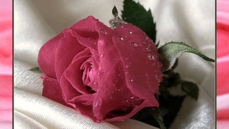 Цветы для прелести