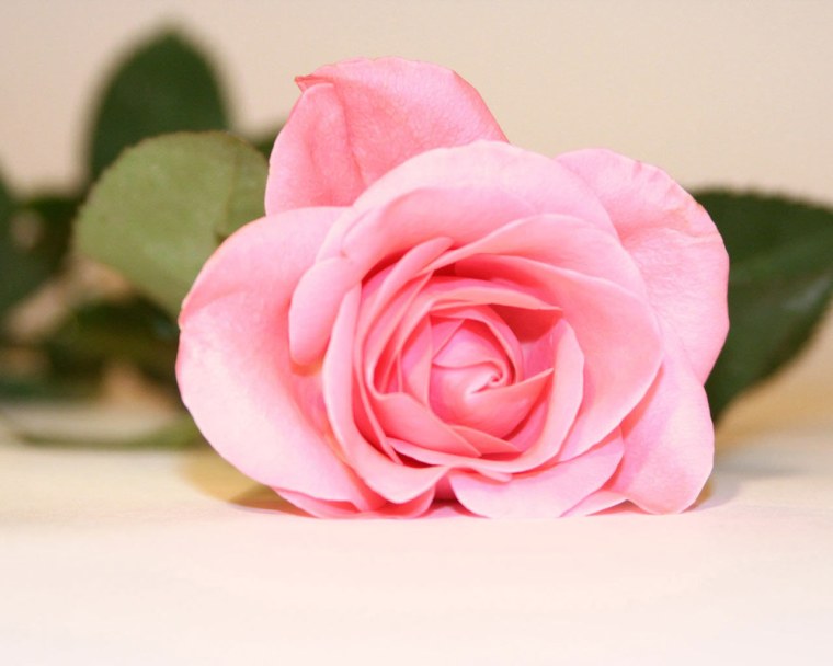 Цветы для дорогого человека