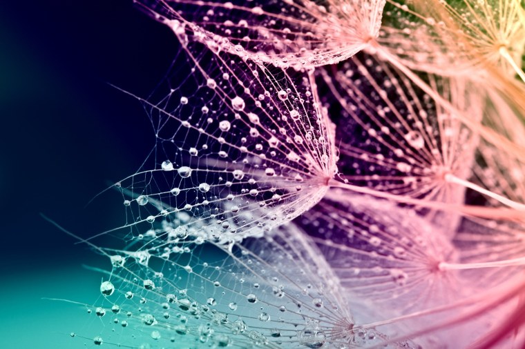 Картинки на рабочий стол телефона вертикальные