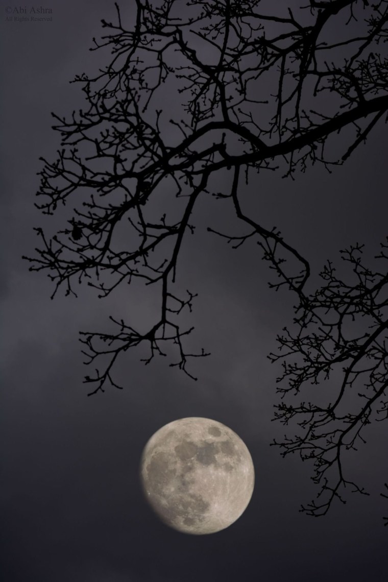 Полнолуние Эстетика