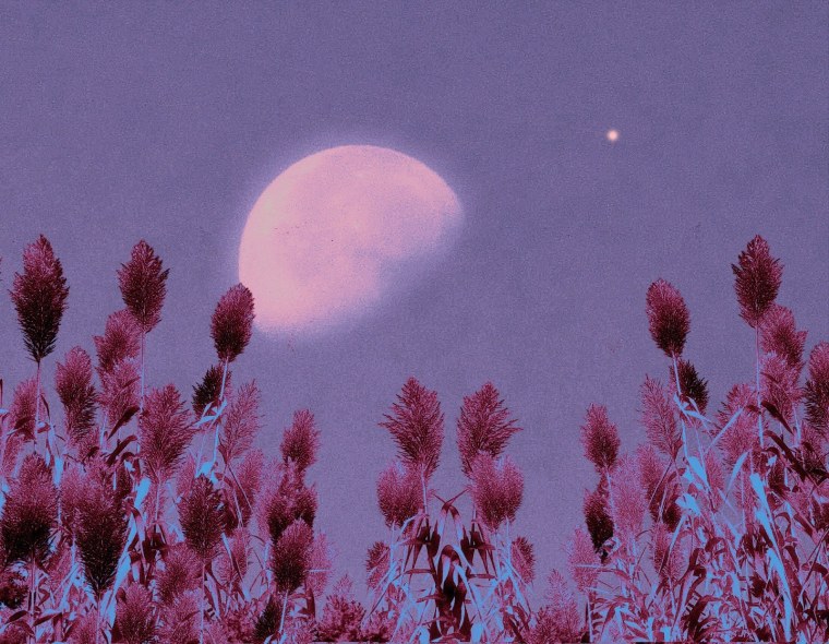 Розовое полнолуние