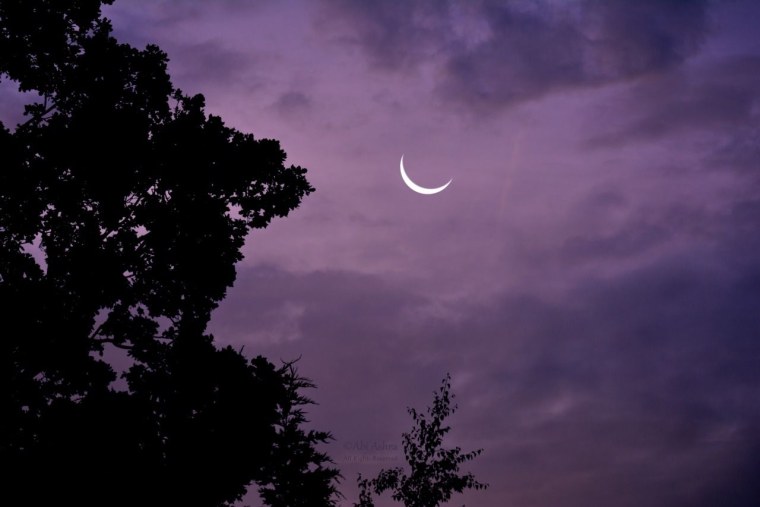 Луна Эстетика