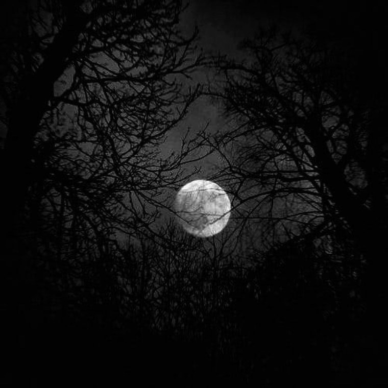 Полнолуние Эстетика