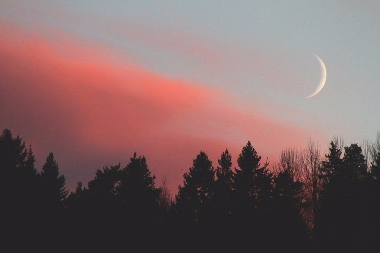 Месяц Эстетика