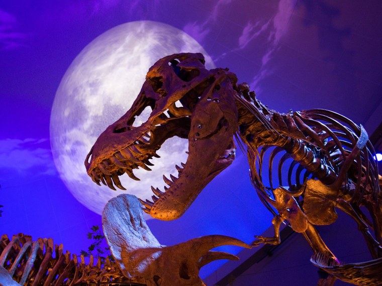 Парк Юрского периода динозавры.концепт.арты