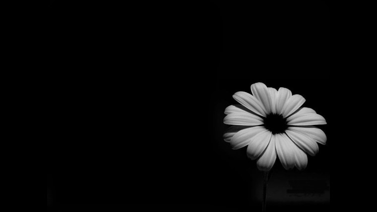 Надписи на черном фоне со смыслом