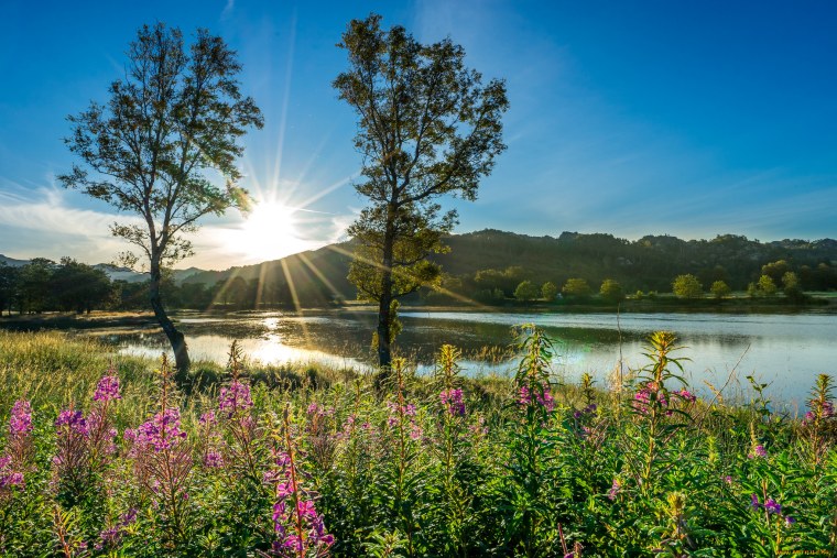 Летний пейзаж