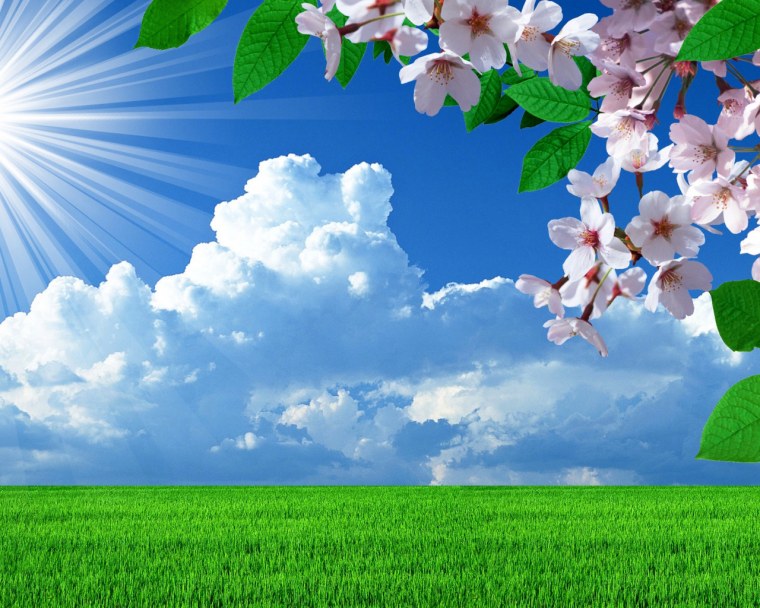 Весенний фон