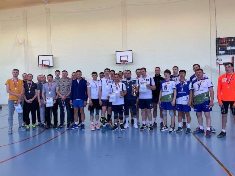 Волейбольный мяч игра в волейбол