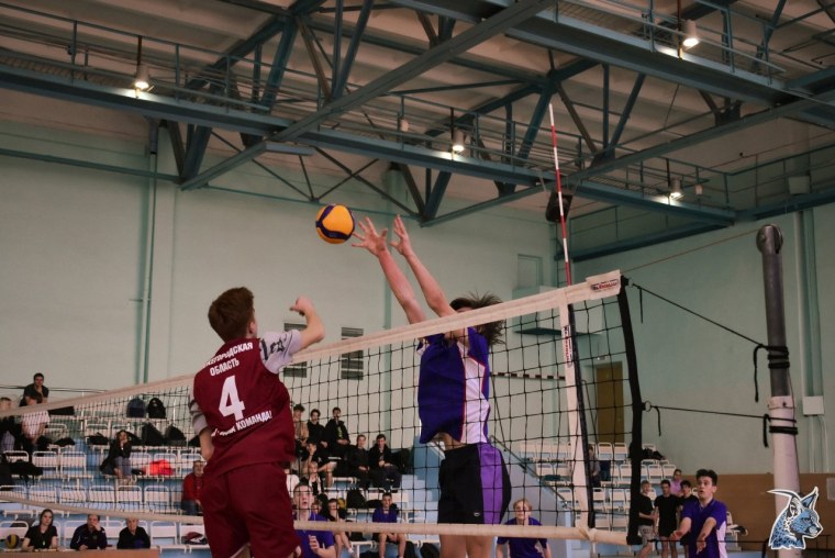 Волейбол на природе