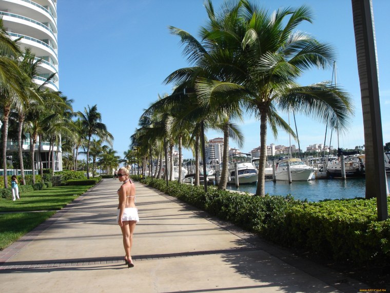 Улицы города Майами Florida