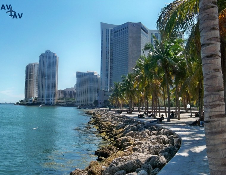 Оушен драйв Майами