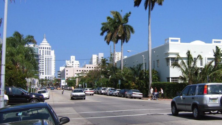 Майами Флорида пальмы