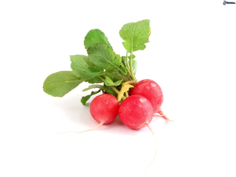 Редиска без фона