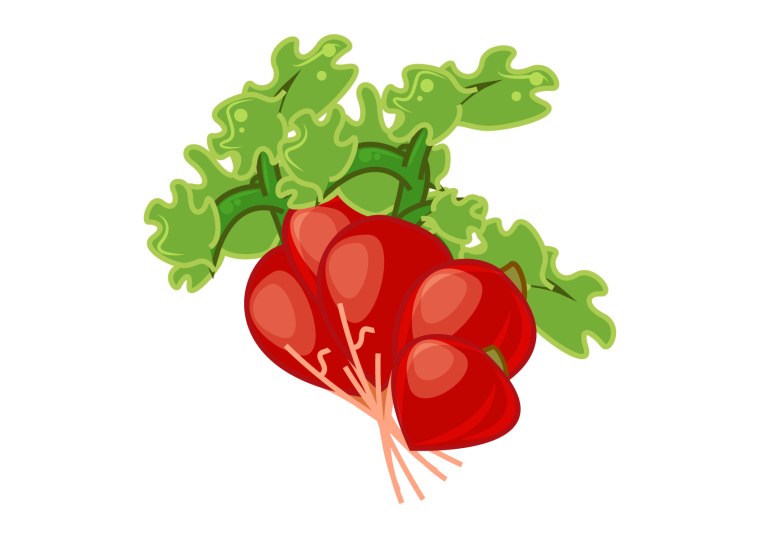 Редиска мультяшная