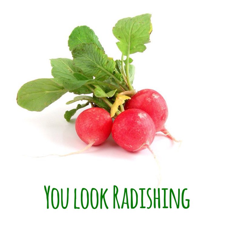 Редиска рисунок