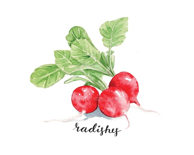 Редис Роксана f1