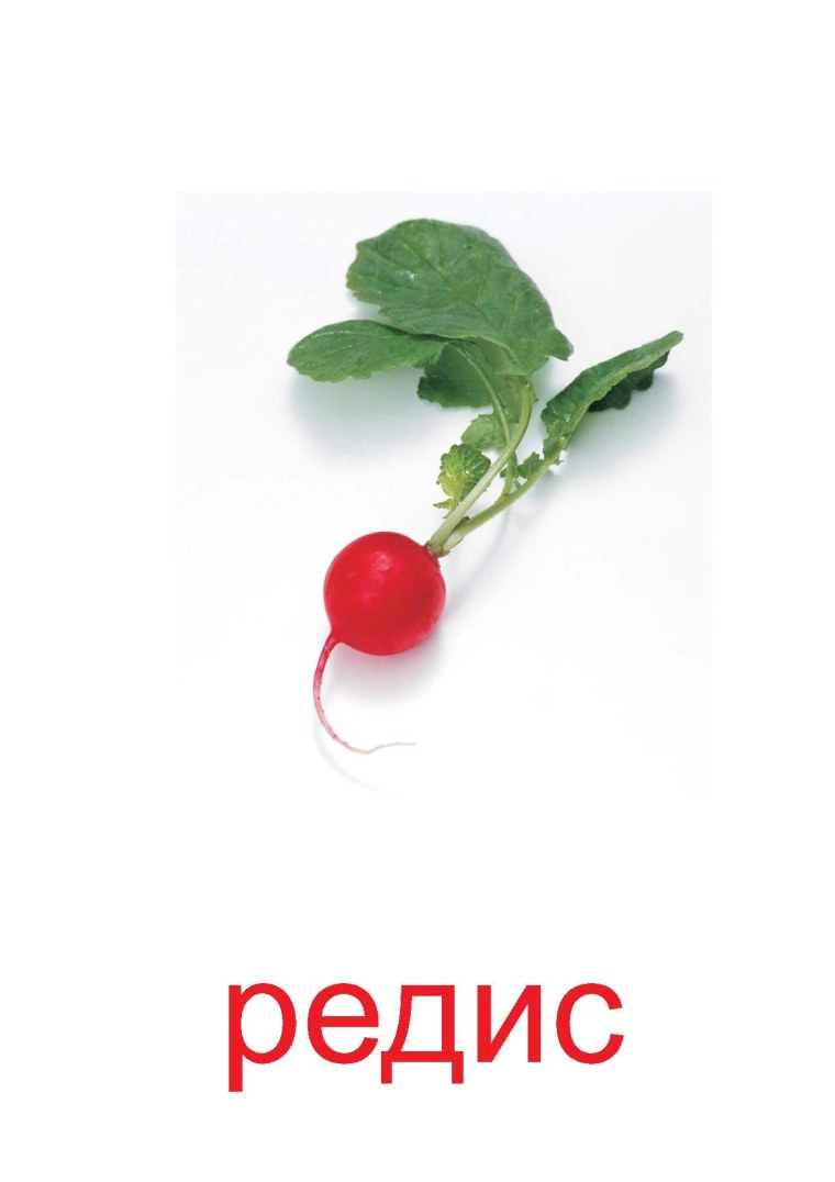 Овощей для детей в детском редиска