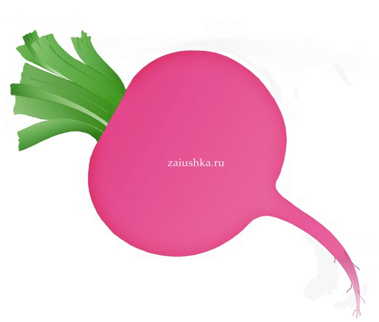 Редиска для детей