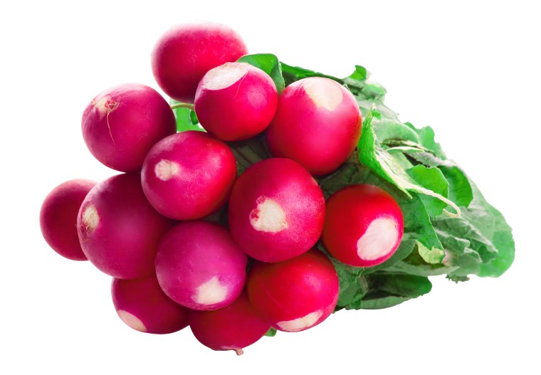 Свекла картинка для детей