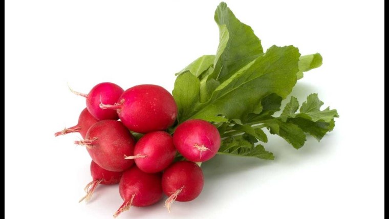 Редис Виенна