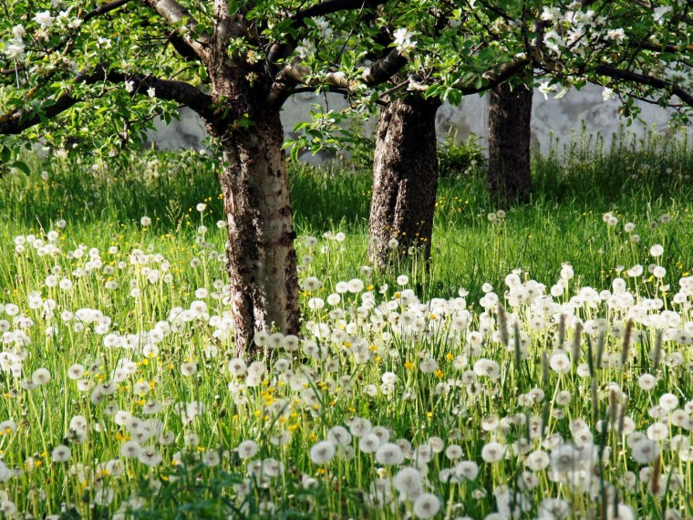 Весна в России