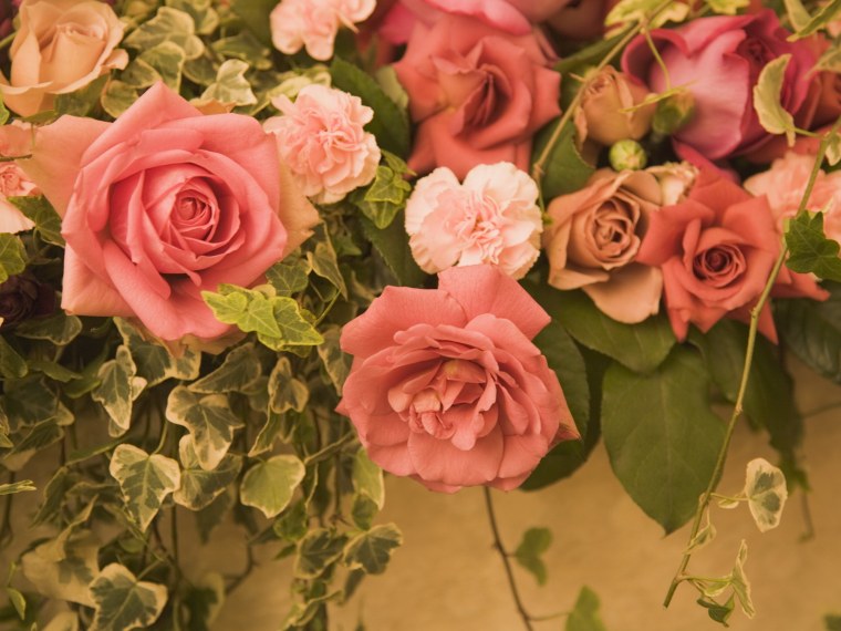 Розовые цветы