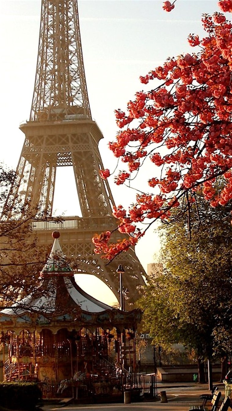 Эйфелева башня с моста