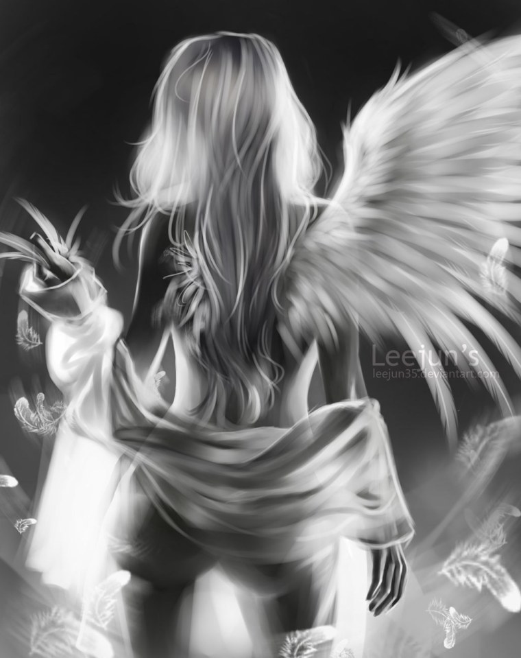 Однокрылый ангел