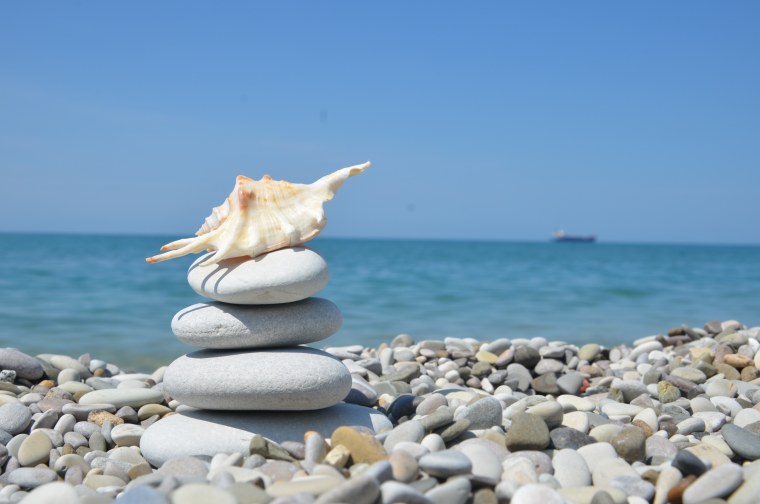 Черноморская Ракушка Сочи