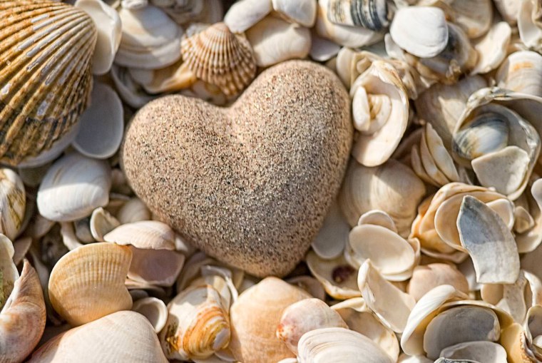 Галька и ракушки