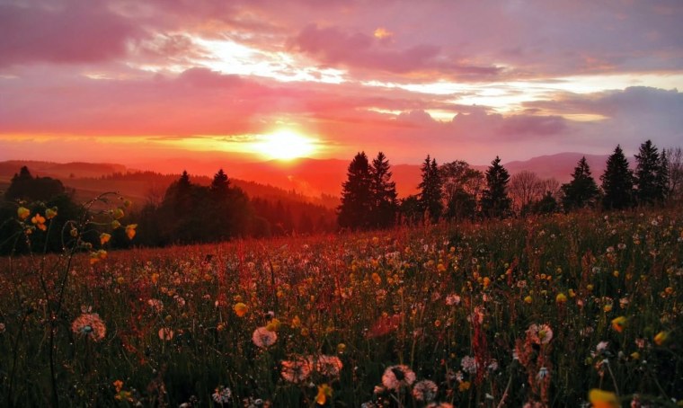 Серый закат