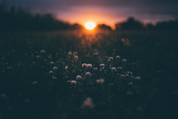 Красивый закат сохры