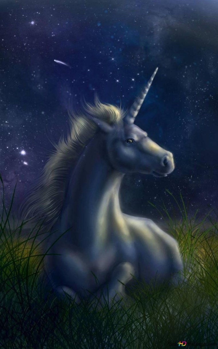 Рейнбоу Юникорн