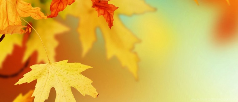 Фон осень 1 сентября