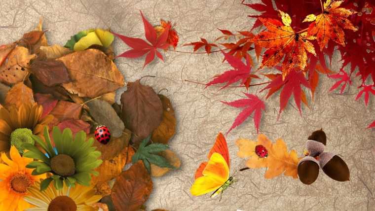 Обои на осеннюю тематику