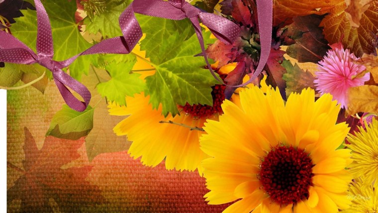 Осень в ярких тонах