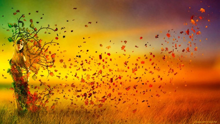 Осень листья