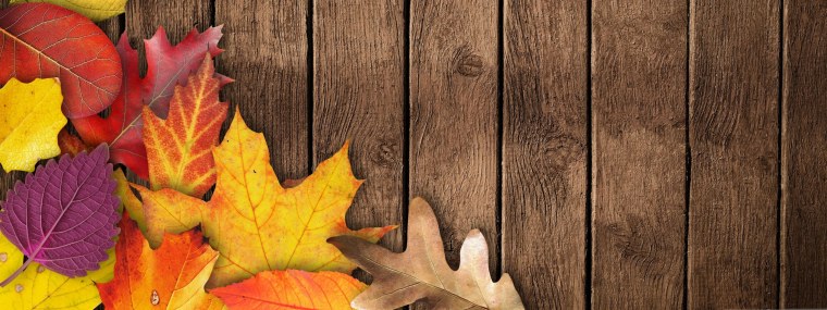 Яркие листья осени