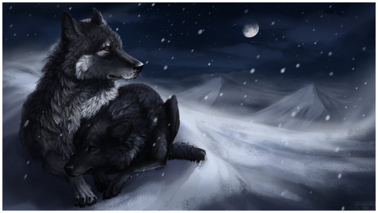 Черный волк арт одинокий