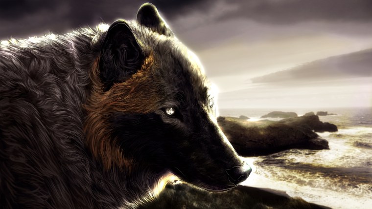 Одинокие волки