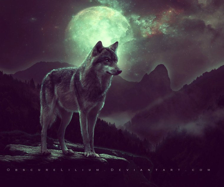 Волк на скале