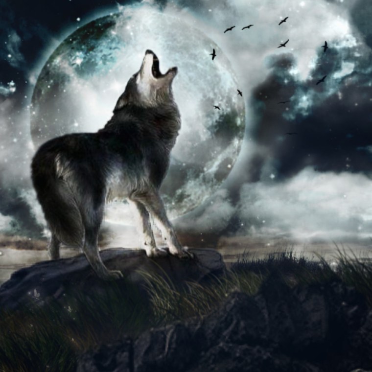 Волк мистика