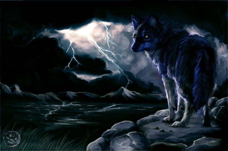 Одинокий волк