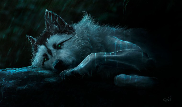 Грустный волк