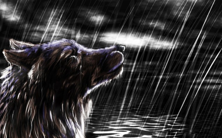 Плачущие волки