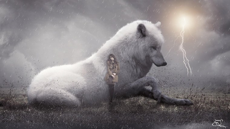 Волк одиночка